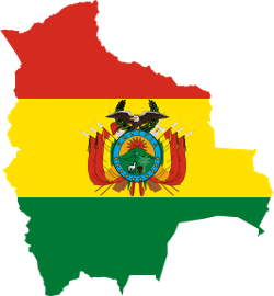 Bolivia-Flag-Navi-mieten