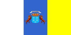Canary-Navi-mieten Flag