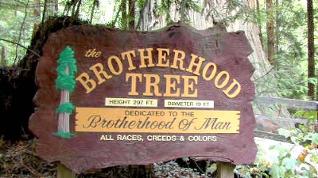 Redwood_NP_CA_Navi_mieten_mit_Karte_USA