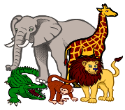 Tiere-Afrika-Navi-mieten-Afrika